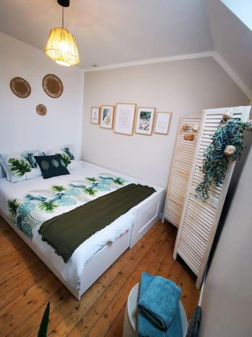 Guest House 60M2 Tout Confort Erquy Eksteriør billede
