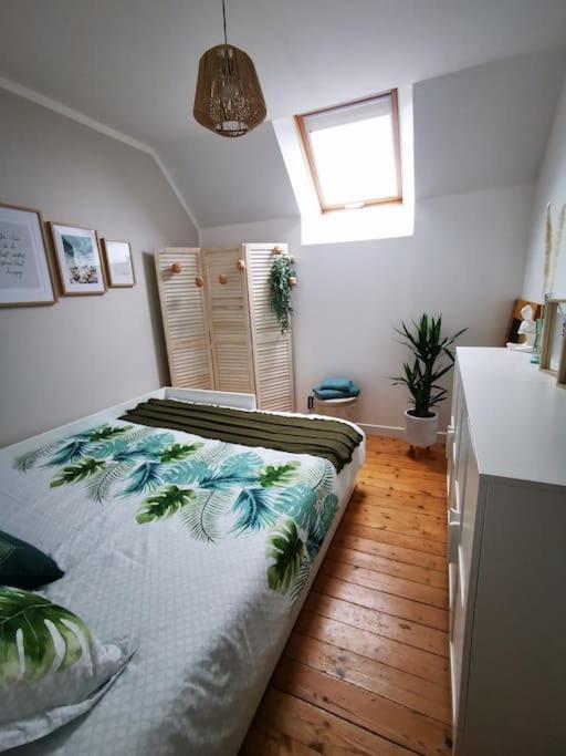 Guest House 60M2 Tout Confort Erquy Eksteriør billede